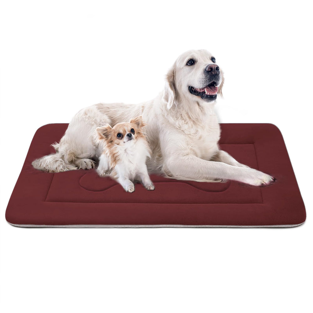 JoicyCo extra-large dog bed with soft plush surface for cozy lounging.