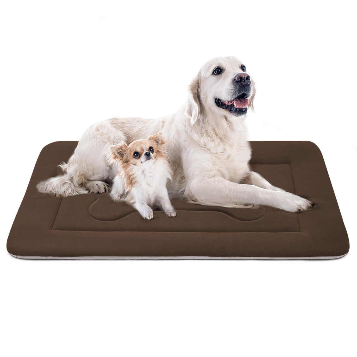 JoicyCo extra-large dog bed foam-inside offers durable support for big dogs.