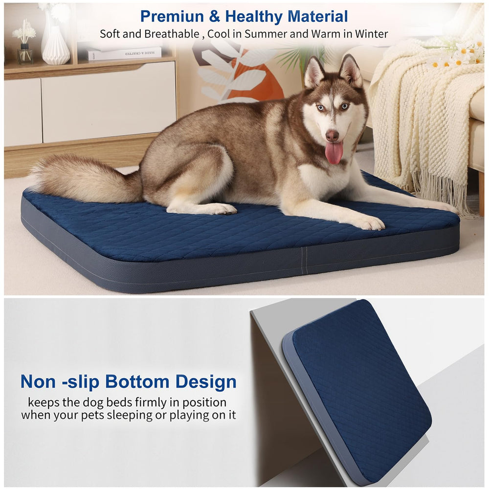JoicyCo 47x39x3.5 inch jumbo bed supports comfortable lounging for big dogs