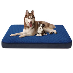 JoicyCo extra large dog bed assembly view highlights jumbo size for spacious dogs