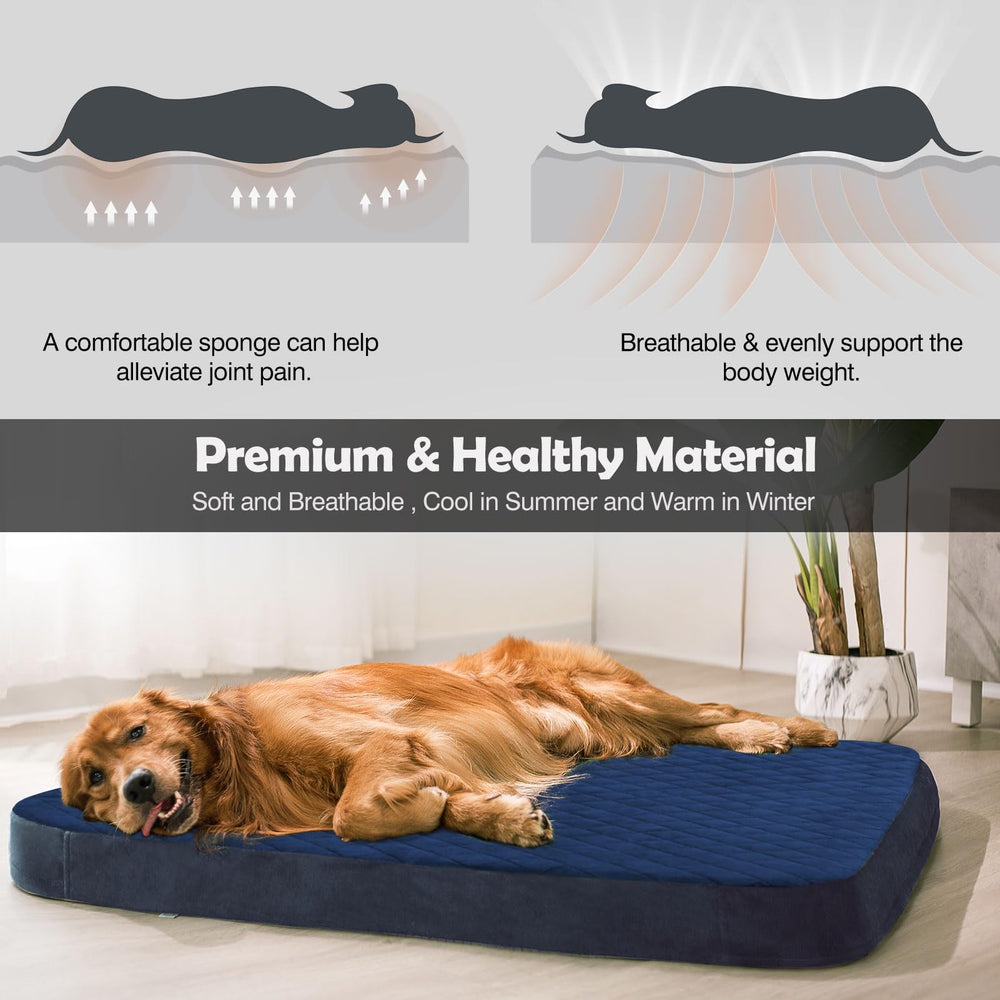 JoicyCo extralarge dog bed removable washable cover makes cleaning quick and easy