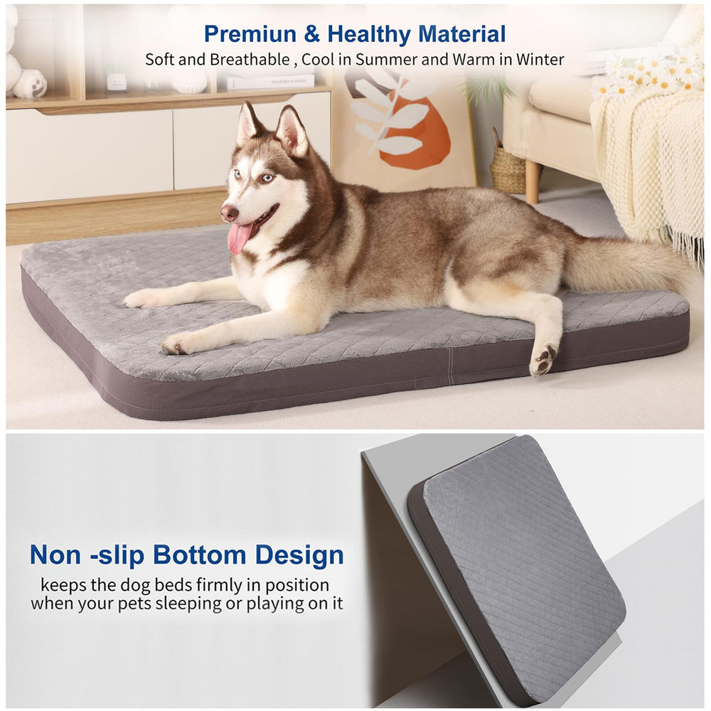 Indoor/outdoor usability of JoicyCo dog bed in living space