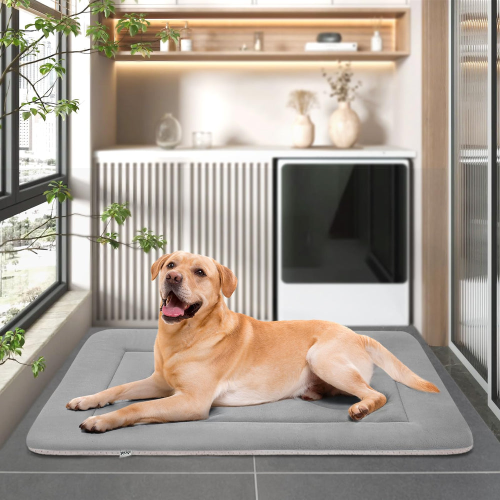 JoicyCo large dog bed keeps pets comfortable year-round, warm in winter.