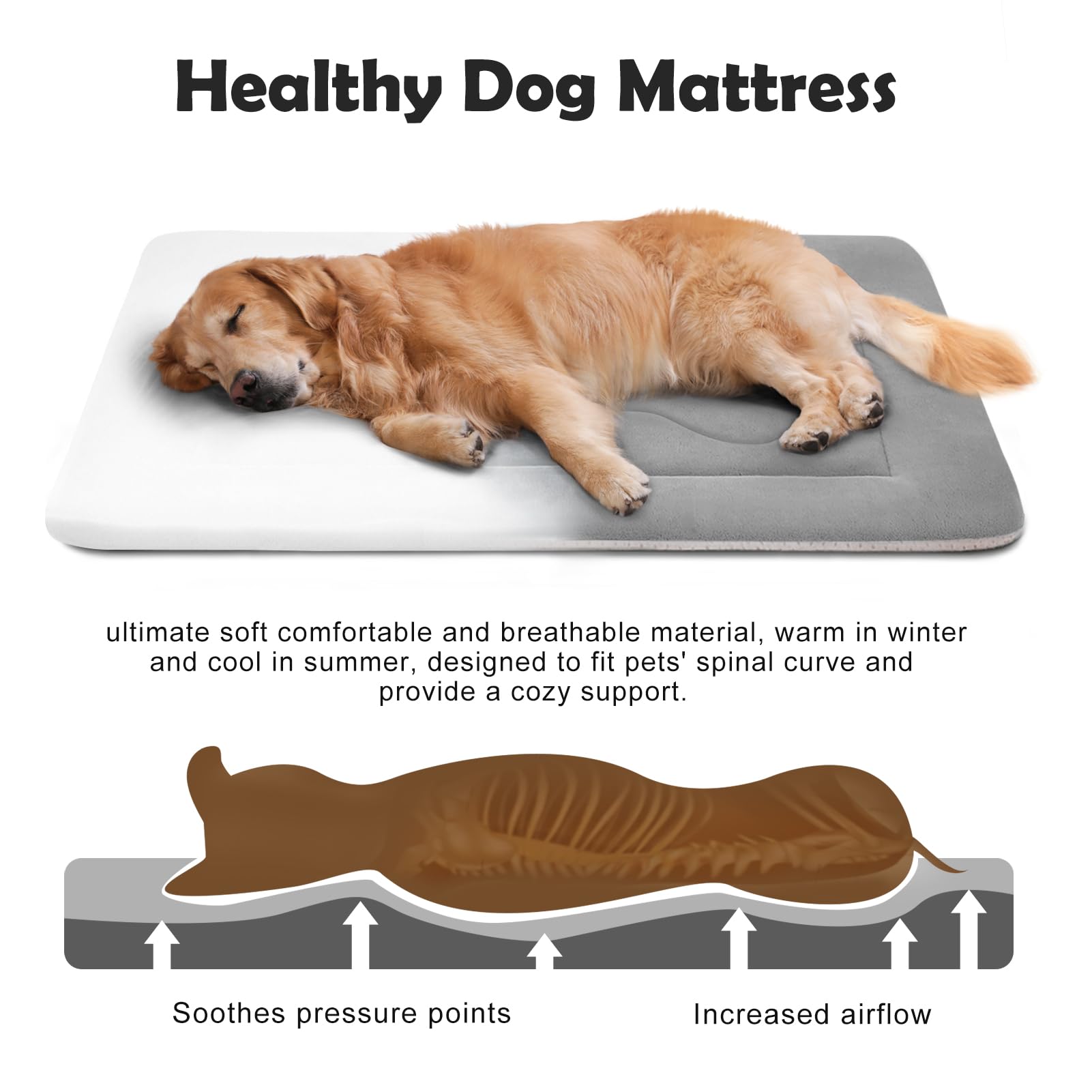 JoicyCo large dog bed's non-slip bottom keeps it in place on floors.