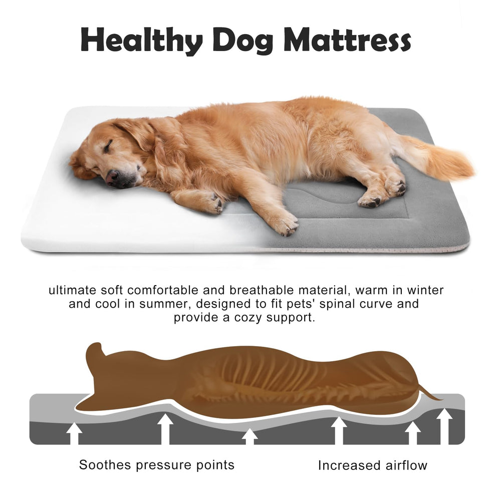 JoicyCo large dog bed's non-slip bottom keeps it in place on floors.