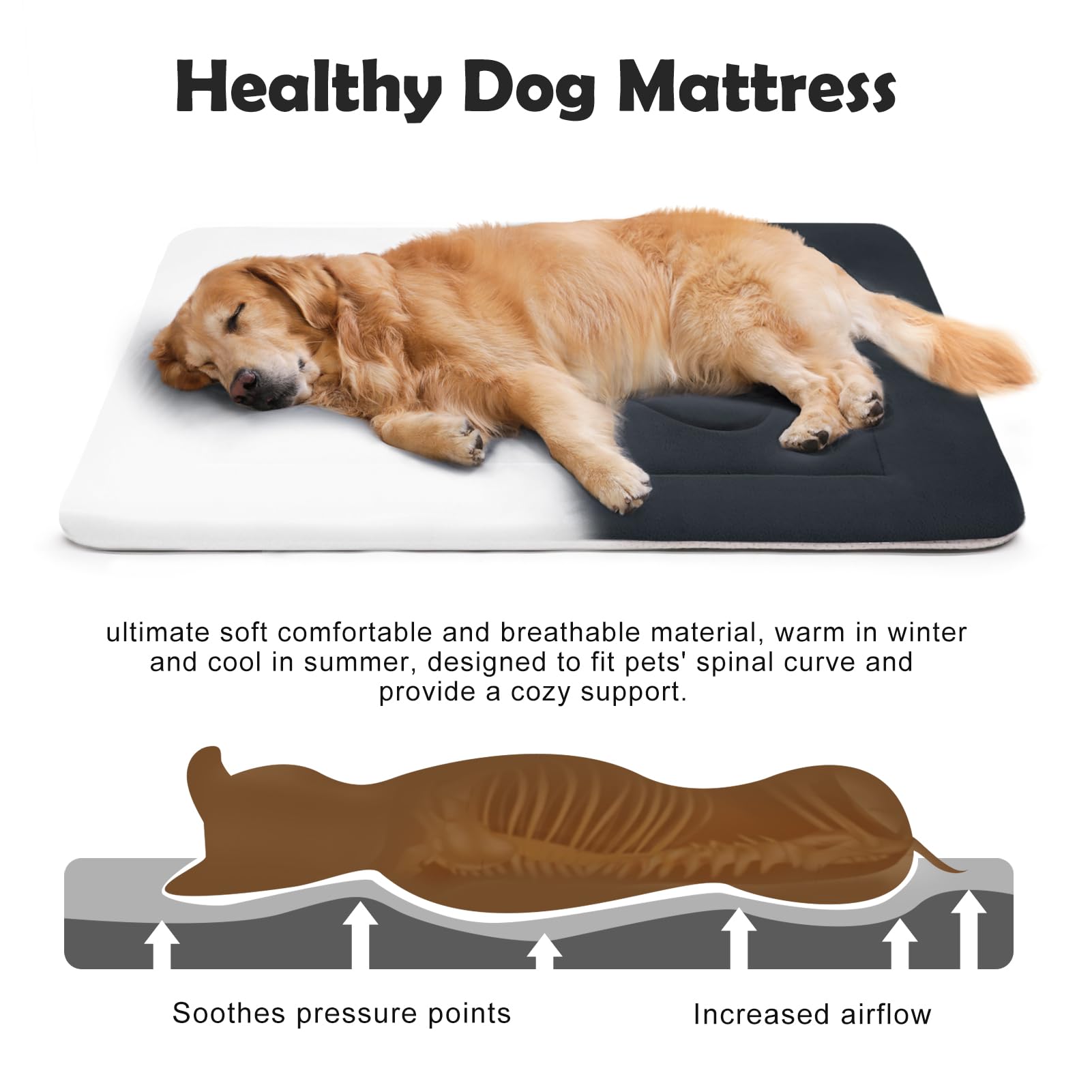 JoicyCo large dog bed with non-slip bottom stays in place on hardwood floors