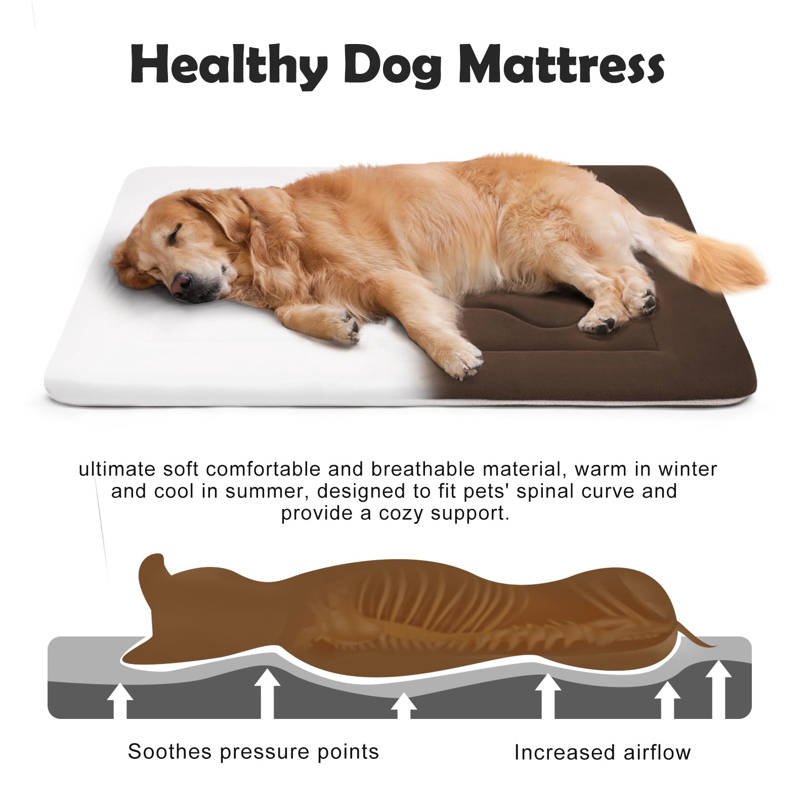 JoicyCo washable dog bed fabric ready for cold-water machine wash