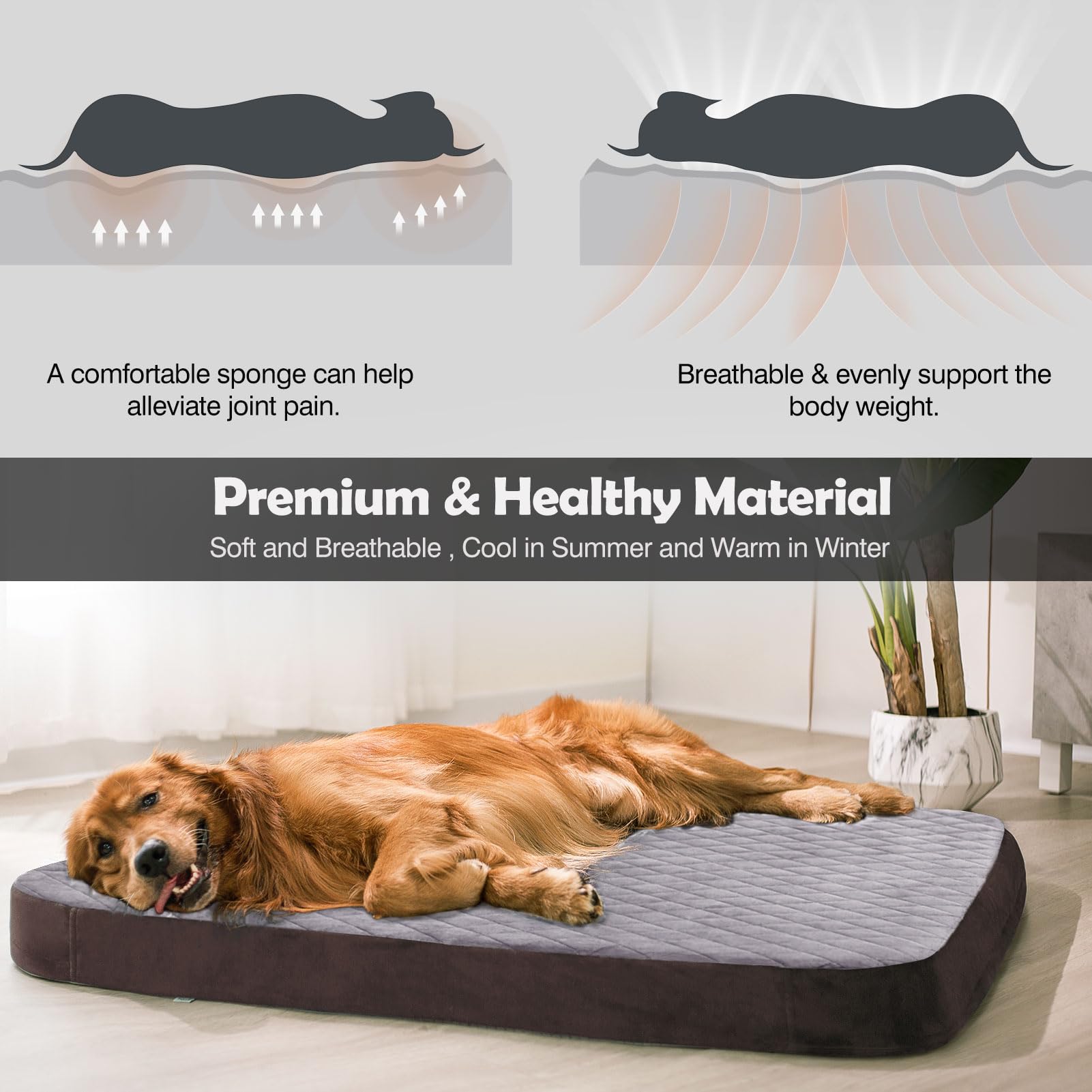 JoicyCo orthopedic foam core visible inside the bed