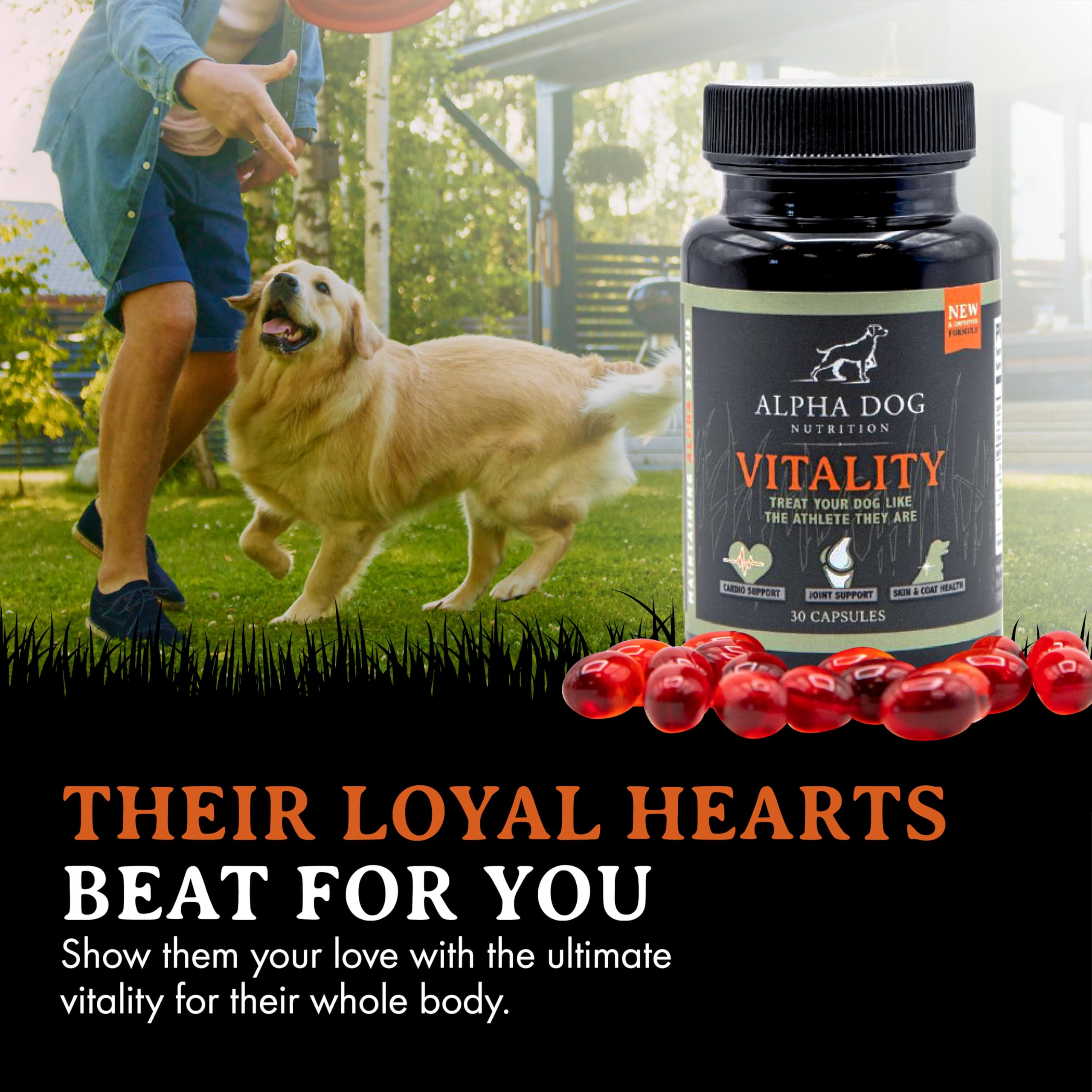 Alpha Dog Nutrition joint health support for active dogs
