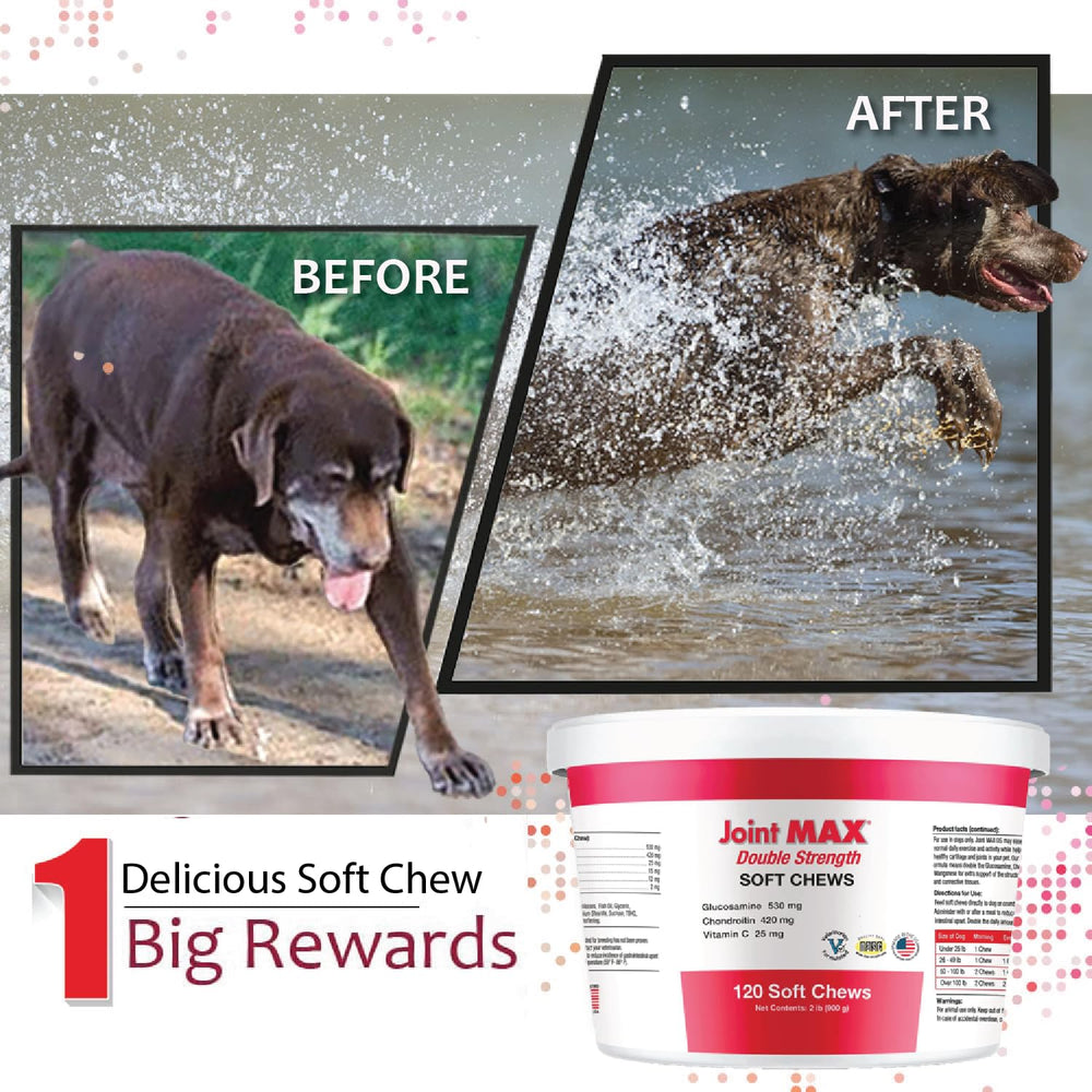 Joint Max anti-inflammatory-antioxidants emphasize potential relief and protection for joints.