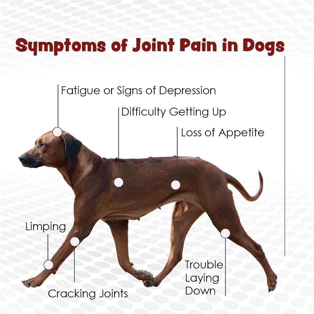 Joint Max ingredient glucosamine-chondroitin highlighted as key joint-support ingredients.