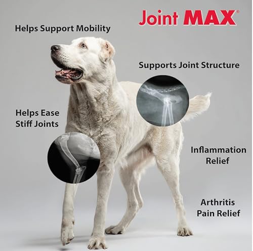 Close-up of Joint MAX ingredients glucosamine and chondroitin for joints
