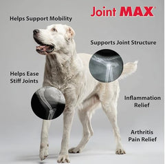 Close-up of Joint MAX ingredients glucosamine and chondroitin for joints