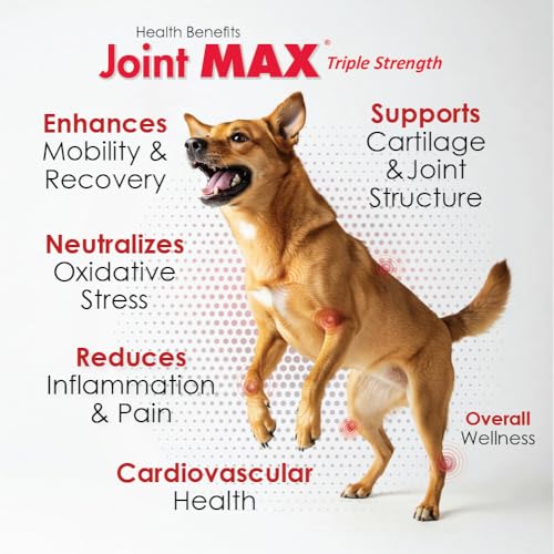 Ingredients list featuring glucosamine and chondroitin in Joint MAX Liquid for Dogs.