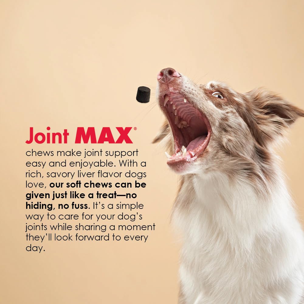 Joint Max product guarantee label signals quality assurance.