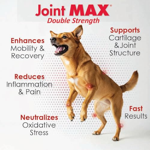 Joint Max Soft Chews dog taking chew demonstrates daily dosing.