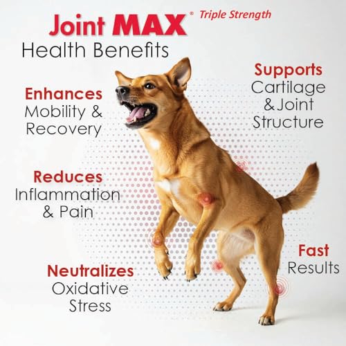 Joint MAX TS ingredients closeup highlights glucosamine and chondroitin for joint support.
