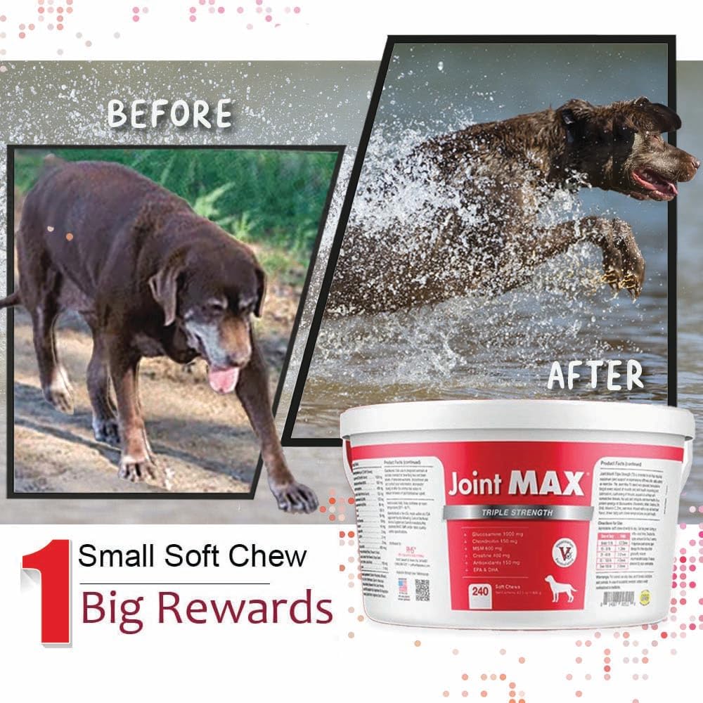Joint MAX TS palatable liver-flavor chews indicate high compliance.