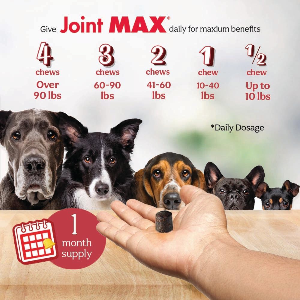 Joint MAX TS senior dog movement emphasizes flexibility.