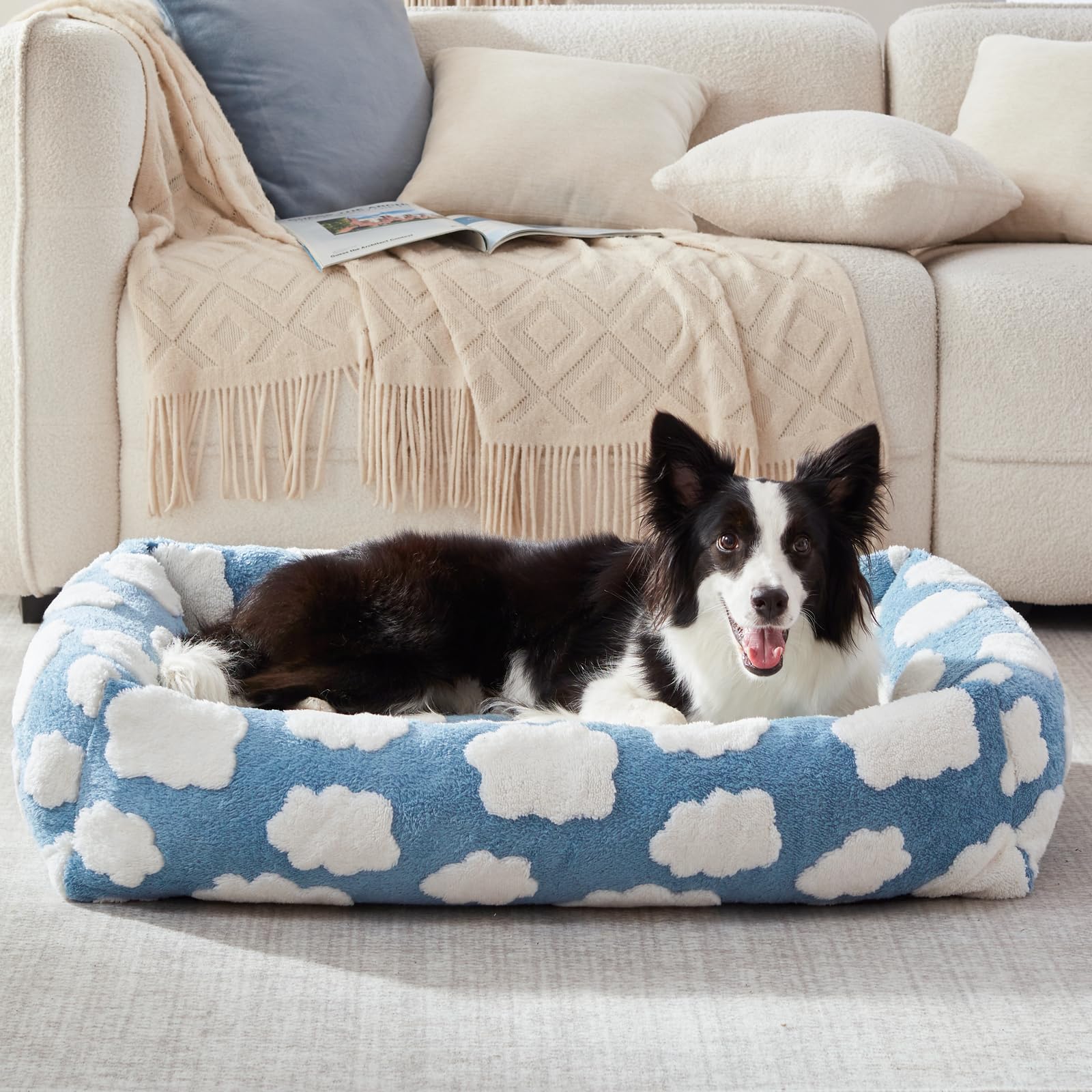 JOEJOY in-use photo shows a relaxed dog enjoying the cozy bed.