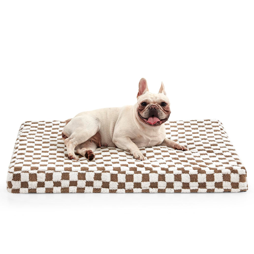 JOEJOY dog bed medium plush-top for cozy lounging and calm naps.