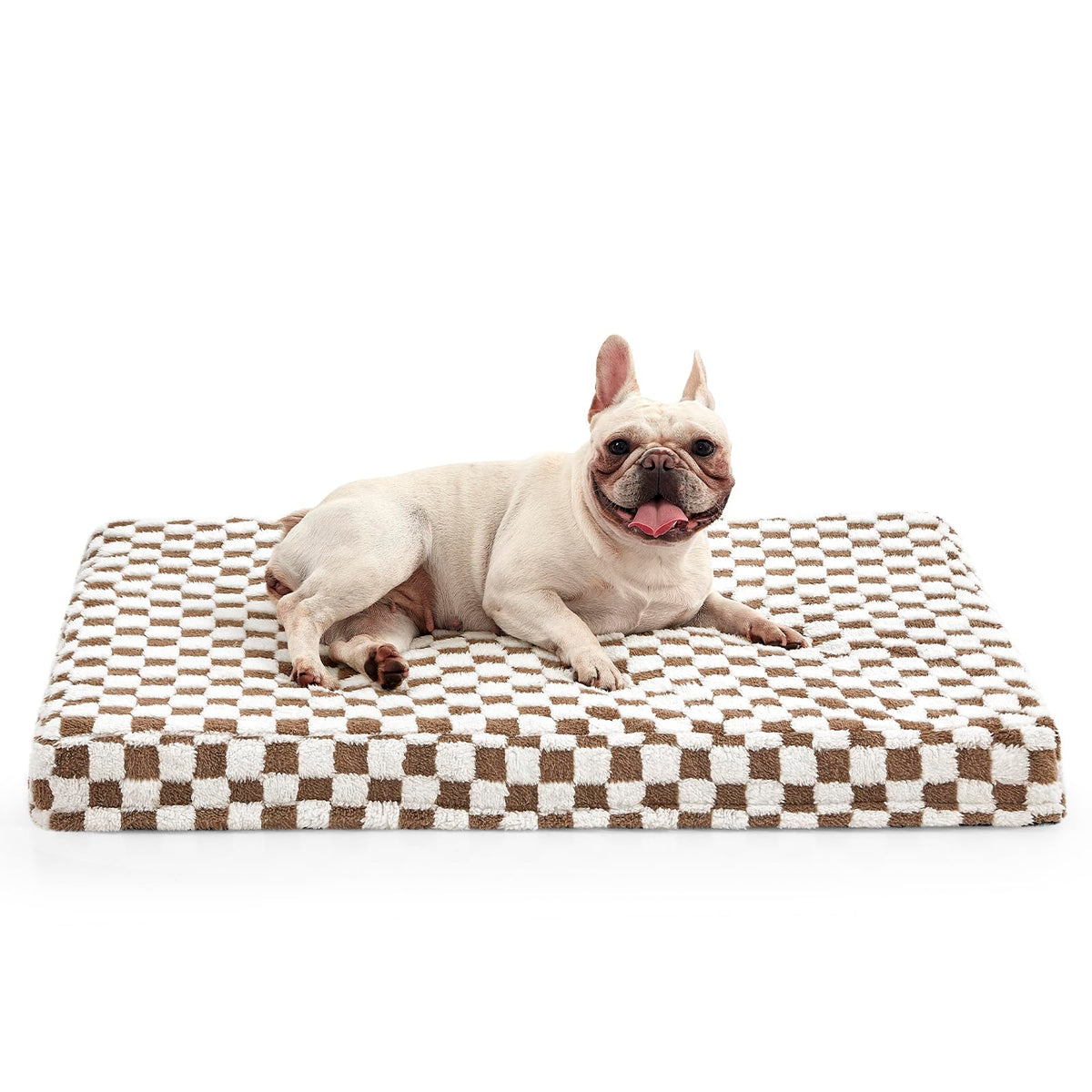 JOEJOY dog bed medium plush-top for cozy lounging and calm naps.