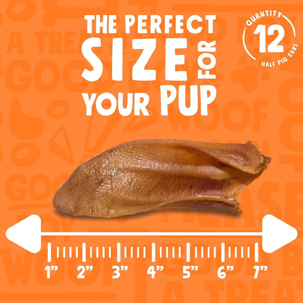 Jolly Barks chewy healthy dog treat demonstrates satisfying chew.