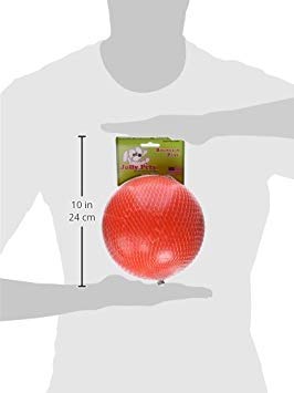 Jolly Pets Bounce-n-Play 6in orange ball floating for water-based play.