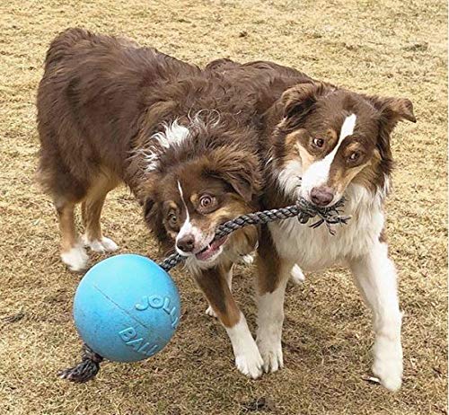 Jolly Pets Romp-n-Roll Easy Grip rope enhances tugging and throwing fun