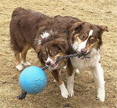 Jolly Pets Romp-n-Roll Easy Grip rope enhances tugging and throwing fun