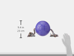 Jolly Pets Romp-n-Roll purple large-breed toy supports interactive fetch and tug.