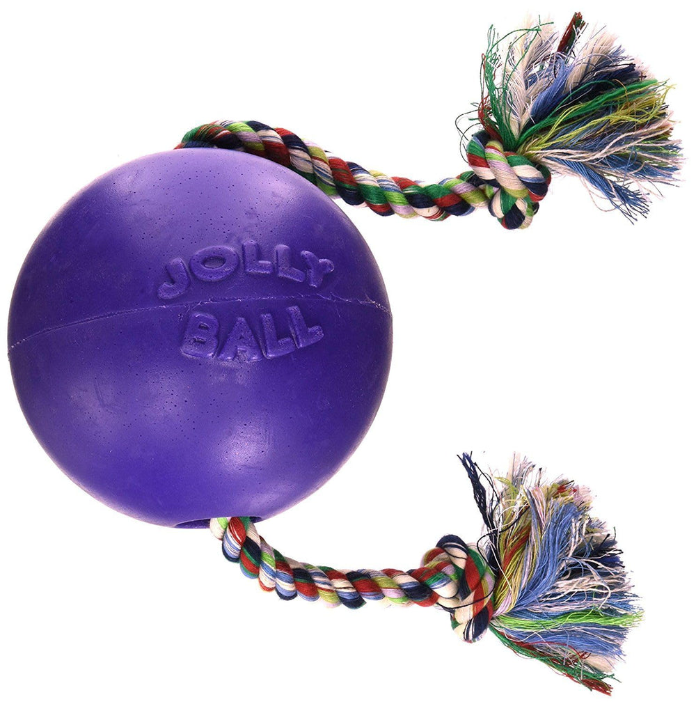Jolly Pets Romp-n-Roll packaging display highlights gift-ready dog toy.