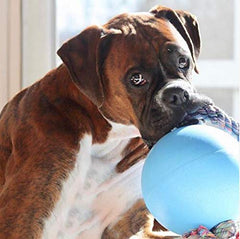 Jolly Pets Romp-n-Roll ball stays buoyant after punctures for beach or lake play