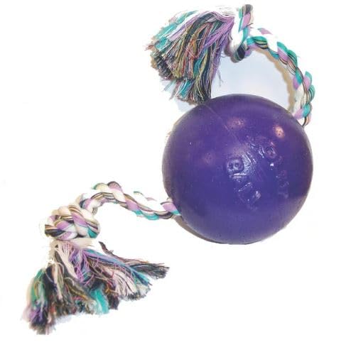 Jolly Pets Romp-n-Roll size label image confirms 4.5-inch small toy.