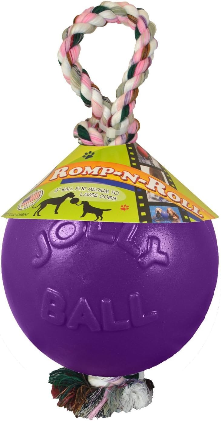 Jolly Pets Romp-n-Roll purple toy, 4.5-inch size, ready for outdoor play.