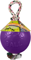 Jolly Pets Romp-n-Roll purple toy, 4.5-inch size, ready for outdoor play.