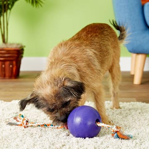 Jolly Pets Romp-n-Roll washable material close-up emphasizes easy cleanup.