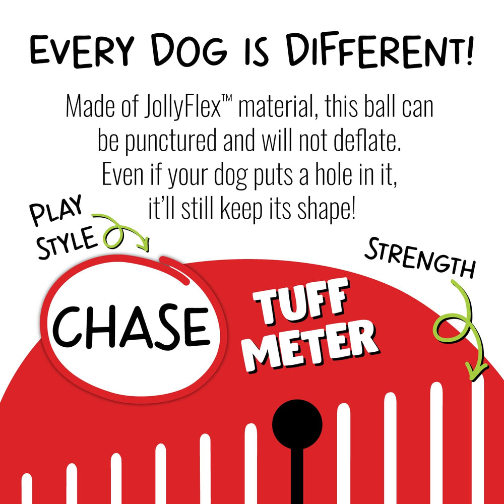 Jolly Pets ball safety notes emphasize supervision and discard if damaged.
