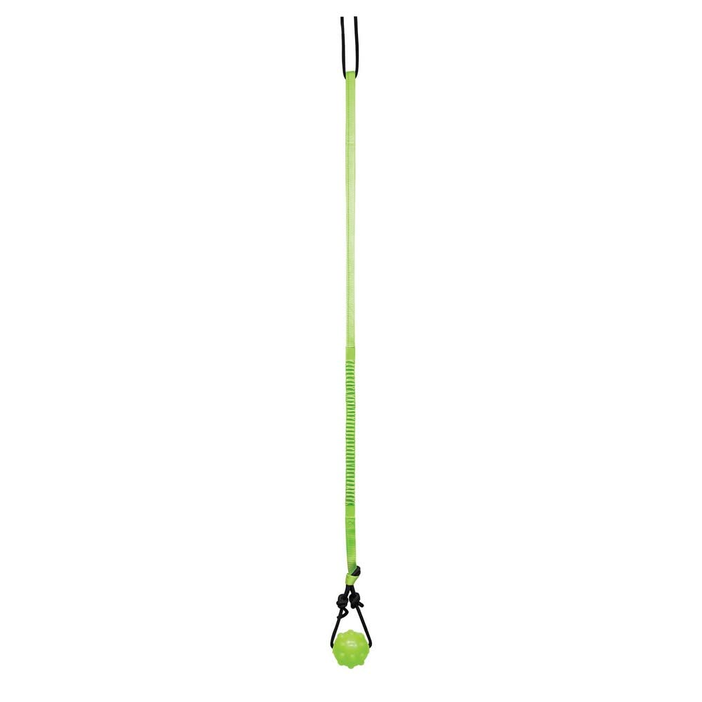 Jolly Pets Tree Tugger dog playing side view promotes solo play and exercise.