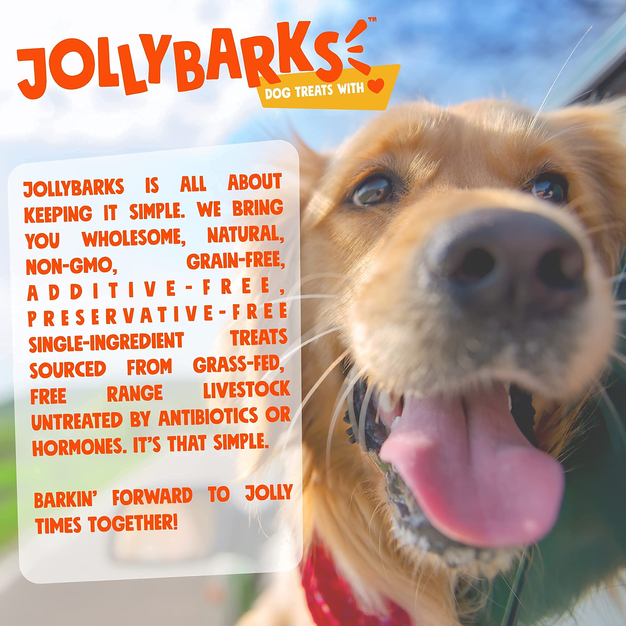 Jolly Barks Junior Bully Sticks fully digestible, mess-free for indoor use.