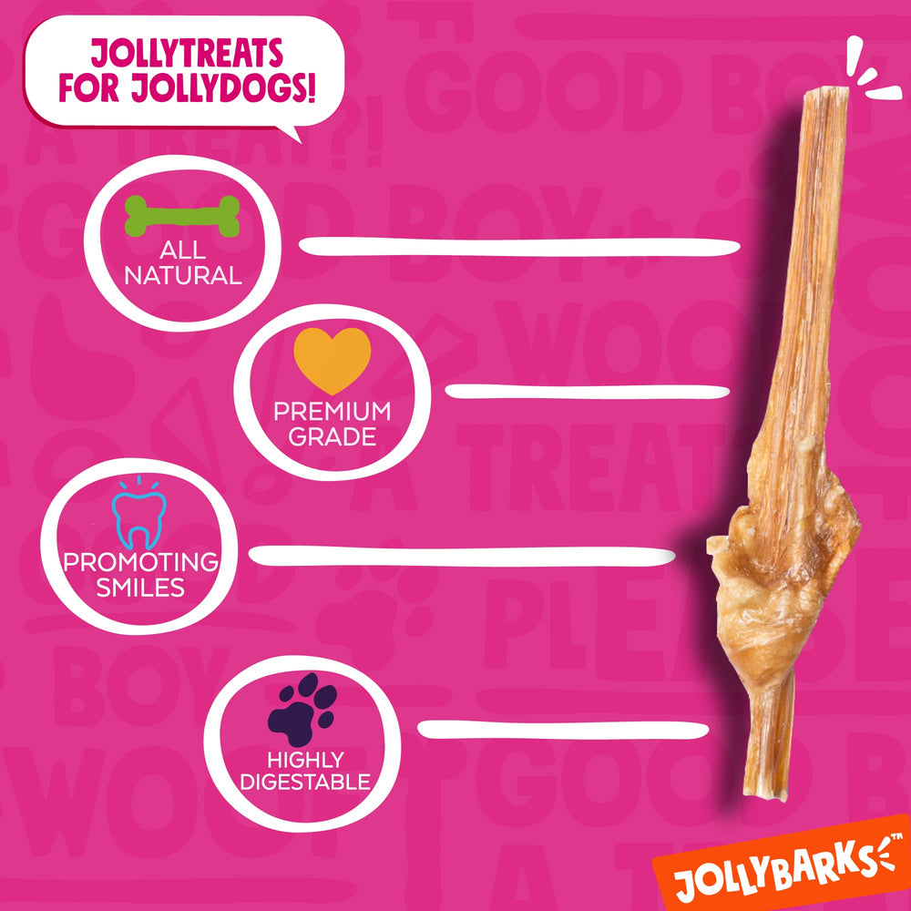 Jolly Barks Junior Bully Sticks single-ingredient beef bladder chew for puppies.
