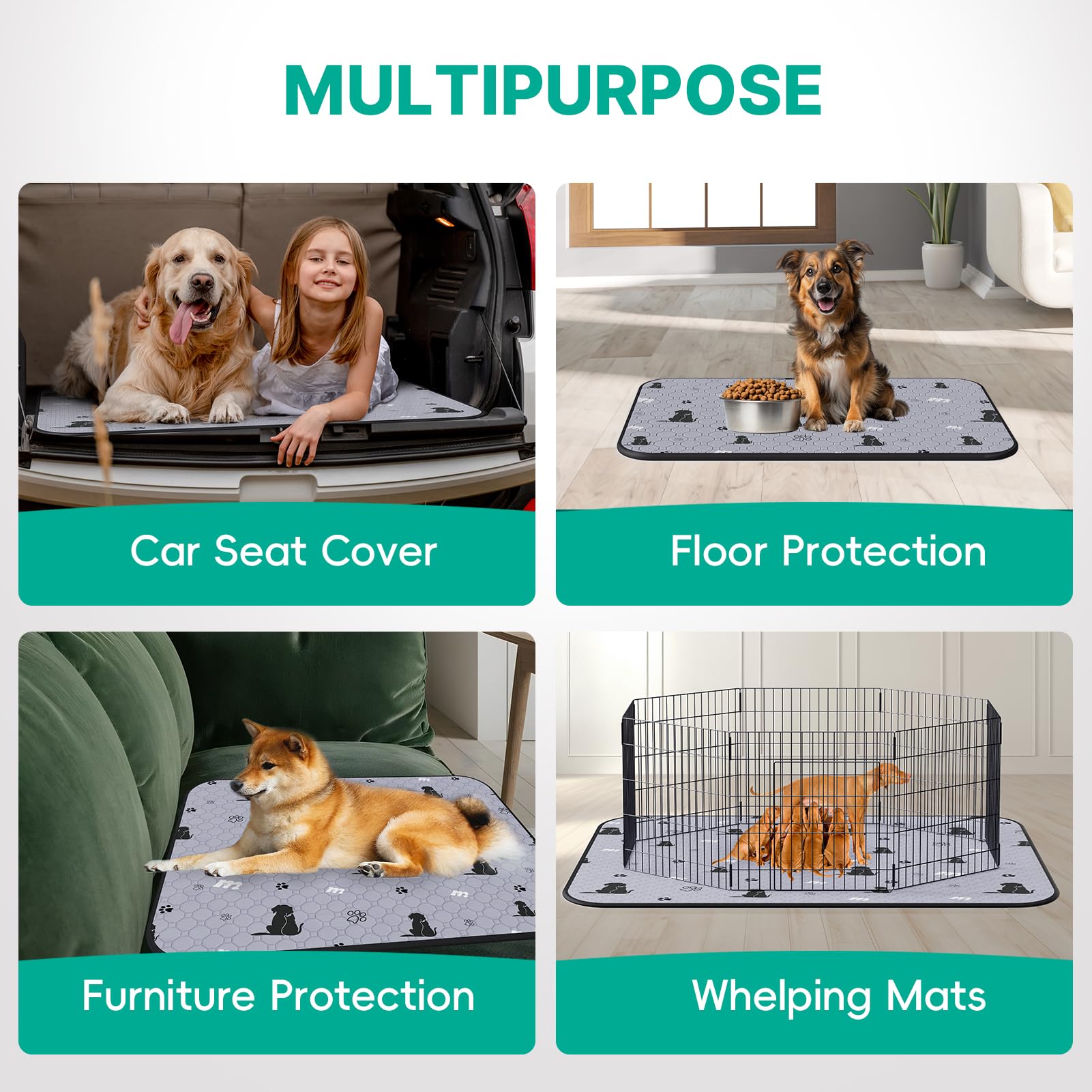 JollyMate pad is versatile for home and travel use across scenes.