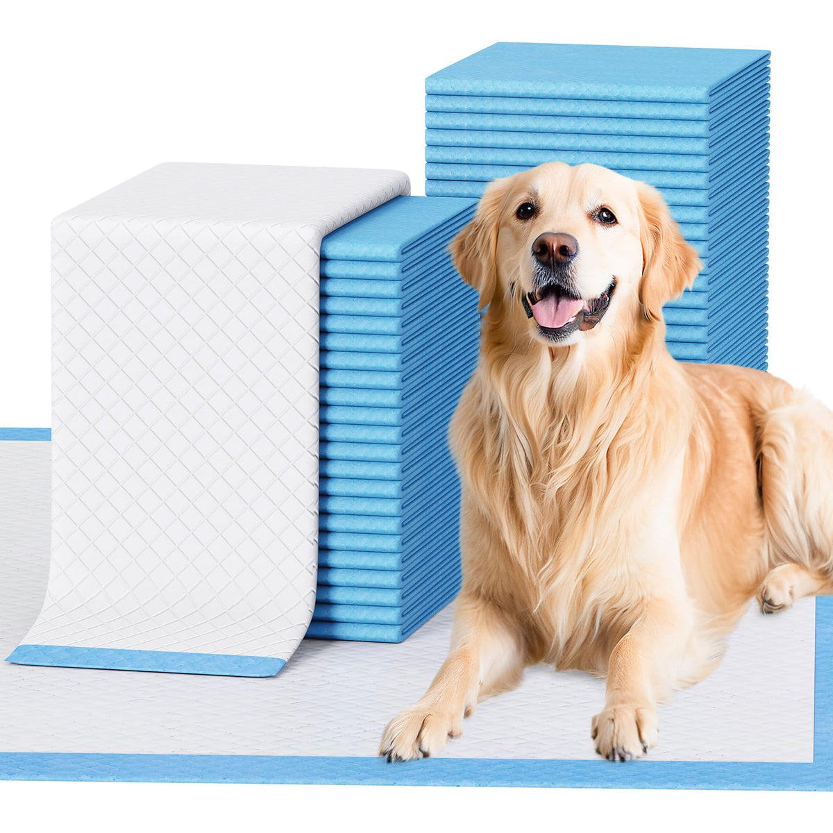 JollyMate dog pee pad with adhesive-tabs-corners keeps pads in place for mess-free training