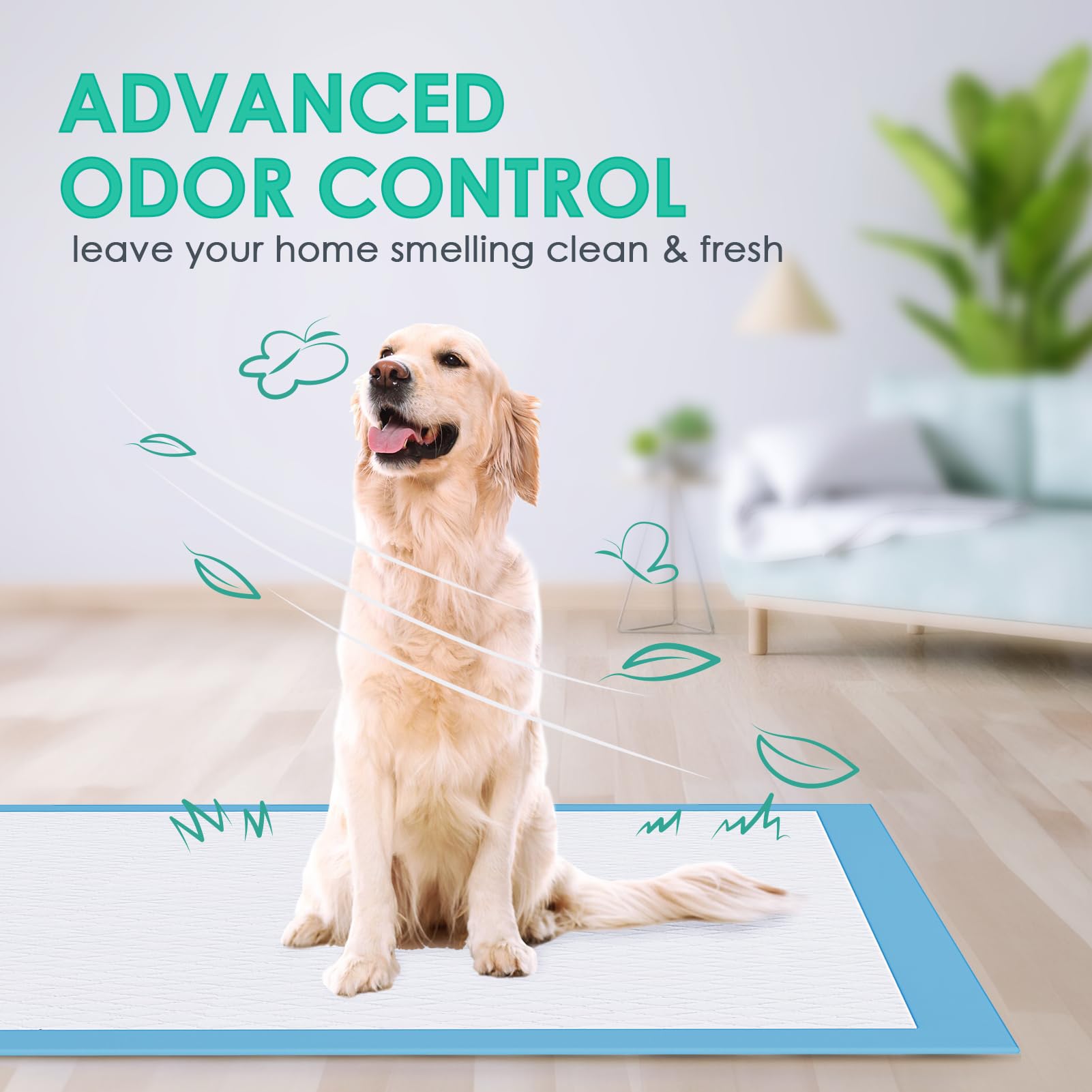 JollyMate indoor-outdoor-use pad suitable for training at home or on porches