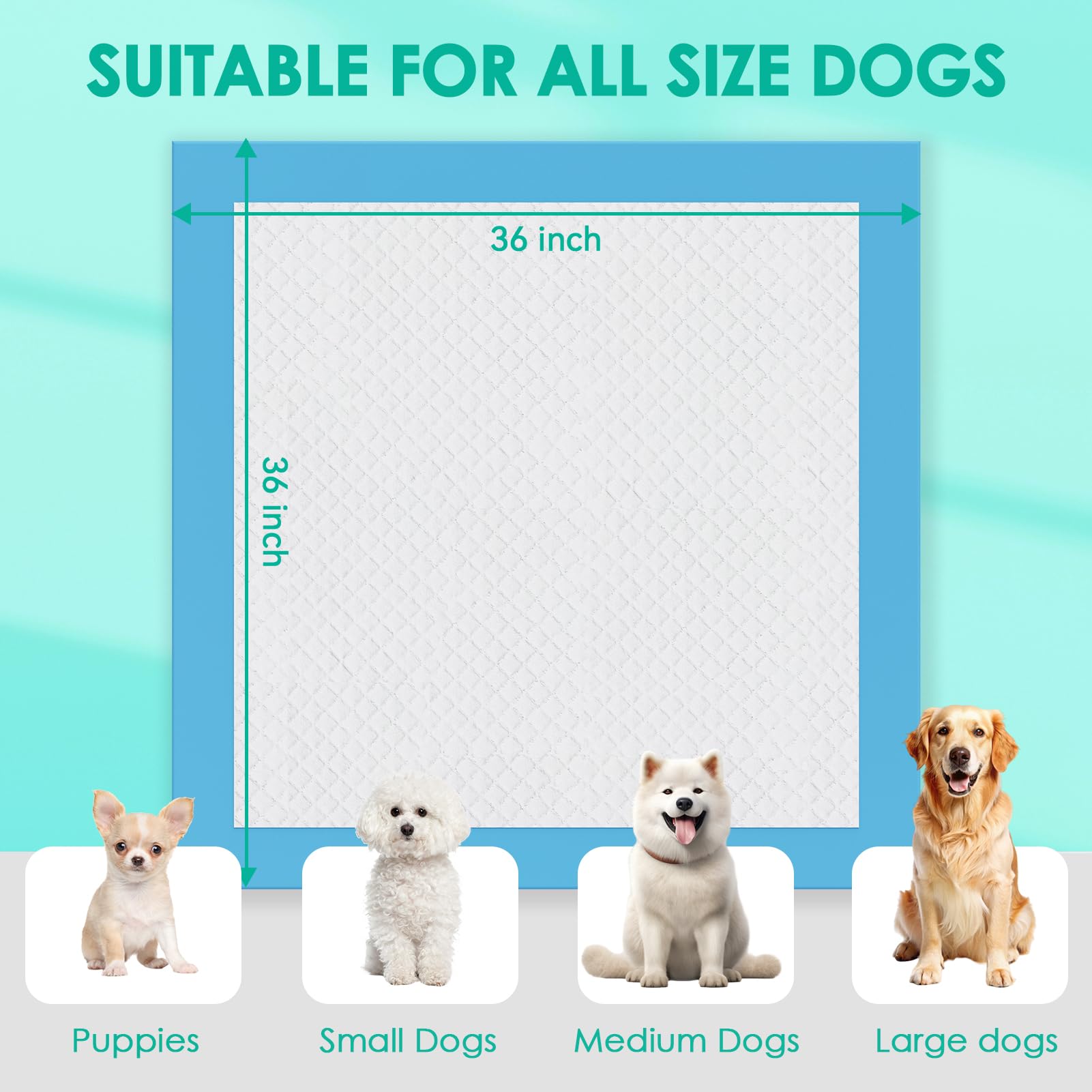 JollyMate packaging image shows secure tabs and easy setup for quick potty training