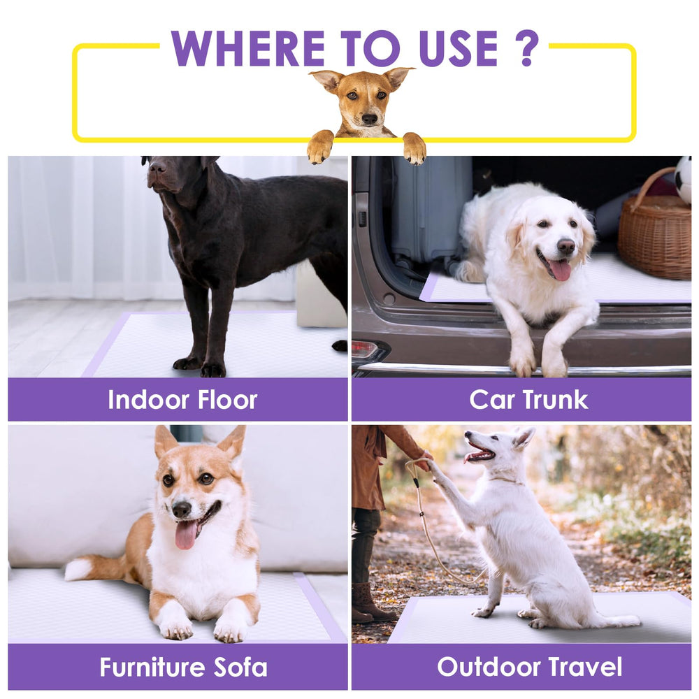 JollyMate extra-large pads suit indoor and outdoor dog use.