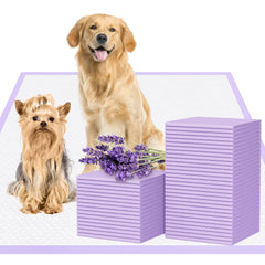 JollyMate Extra Large pee pad pack view for easy indoor potty training.
