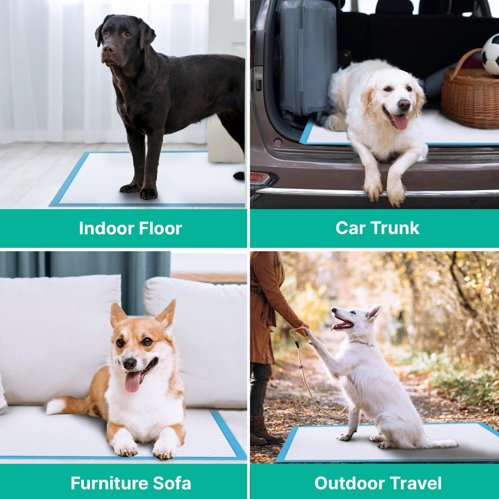 JollyMate training pad suited for puppies during potty training indoors.