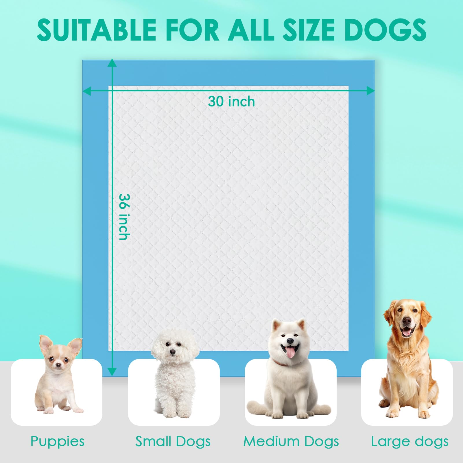 JollyMate indoor-outdoor usable pads suited for training indoors or outdoors.