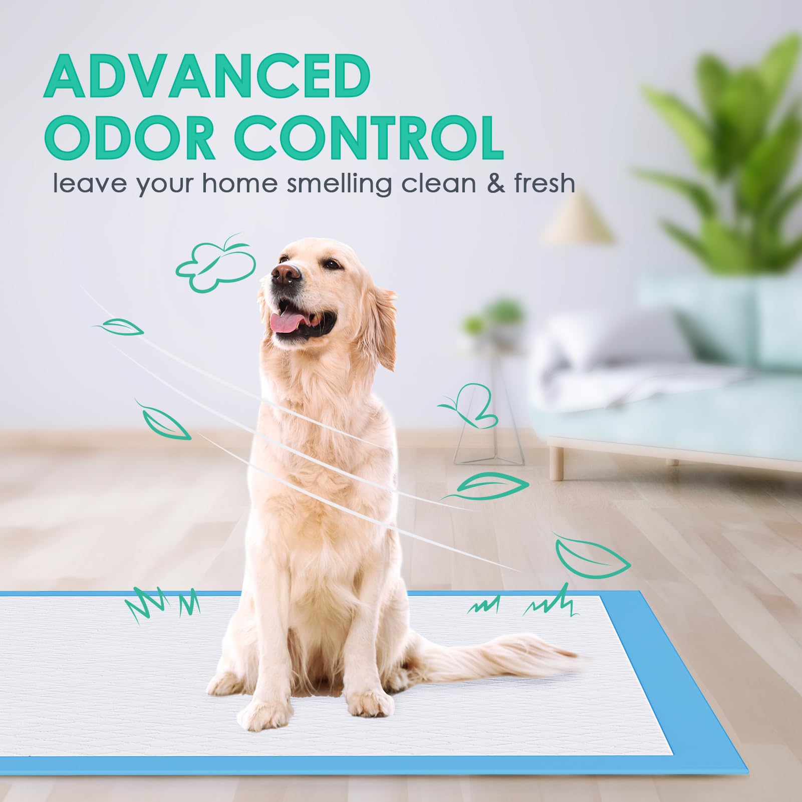 JollyMate pads shown for indoor outdoor use and placement